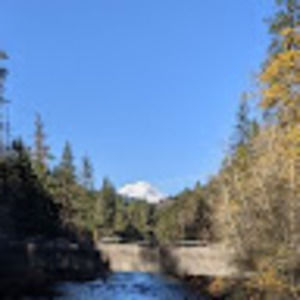 Meet your Posher, Rhiannon